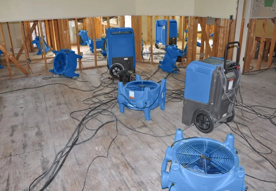 Water Damage Restoration in Federal Way, WA