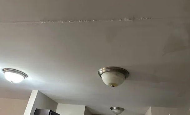 Structural Damage Repair in Federal Way, WA