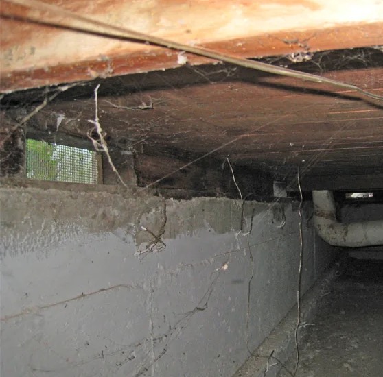 Crawl Space Water Damage Repair in Oak Harbor, WA