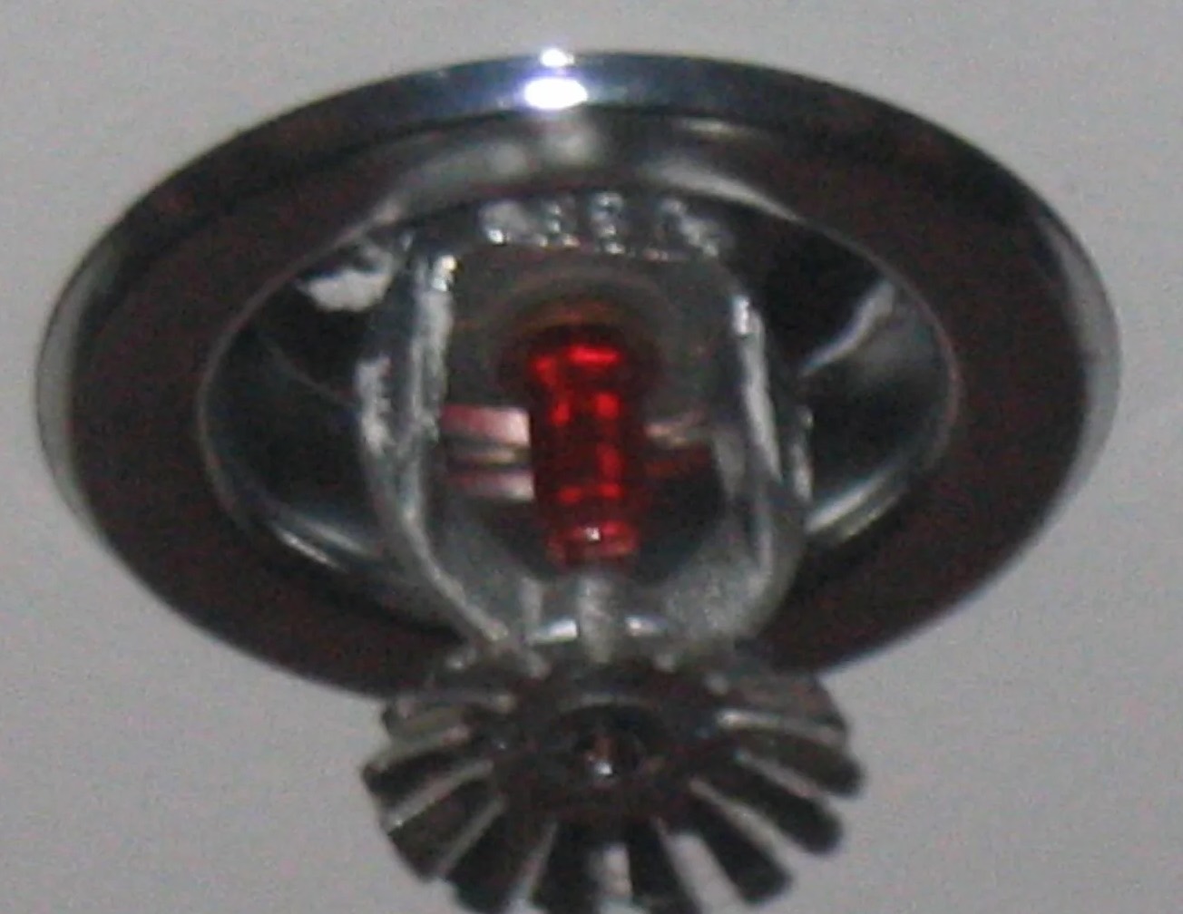 Fire Sprinkler Discharge Water Removal in Lakeland South, WA