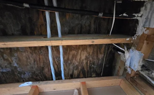 Window Replacement in Federal Way, WA