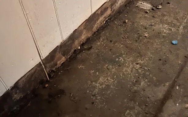 Biohazard and Trauma Cleanup in Federal Way, WA