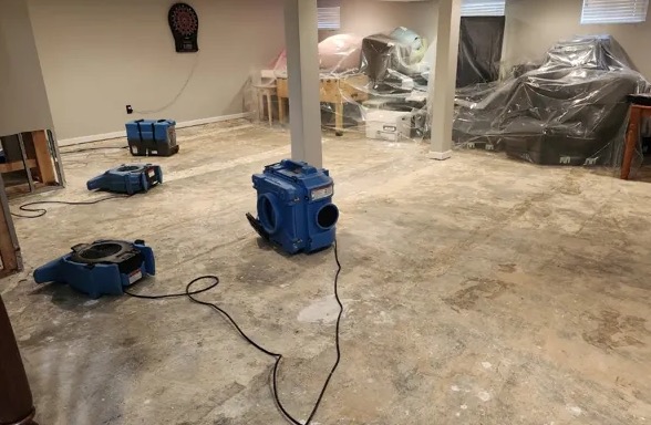 Cleaning and Sanitization Services in Federal Way, WA